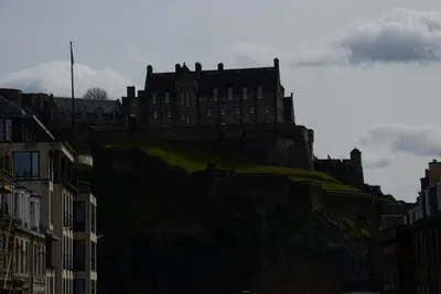 DSC_7388 (Large).JPG